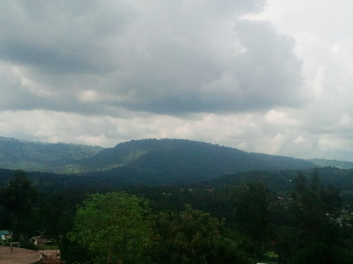 Charlie Mparah tweet media