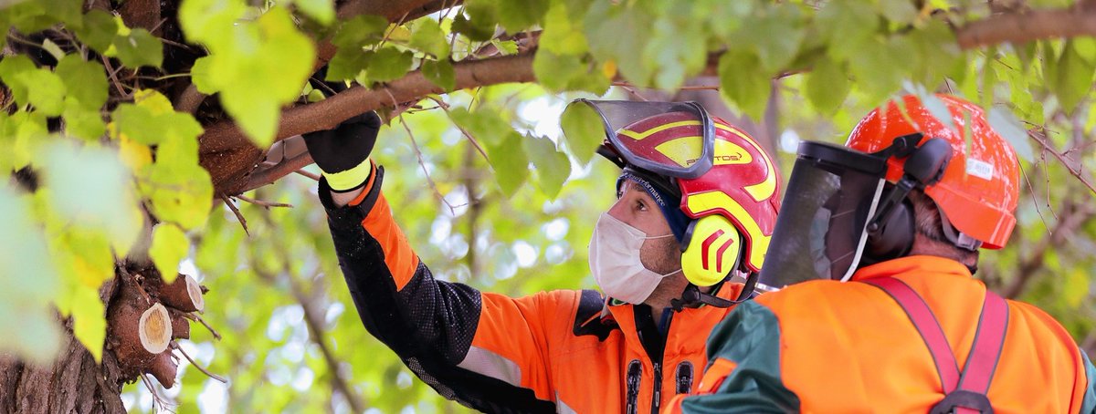UrbanGreeningEU's tweet photo. 🌳Team Romania will organize the first introductory course in #arboriculture developed for workers in the field of #greenspace maintenance.
🍃When: 23-25 May 2022, in Brănești.
More details here: https://t.co/es8vRj6qQh.
#WorldSkillsRomania #ASOPRomania
#urbangreening #eplug https://t.co/yPt7Twx5ys