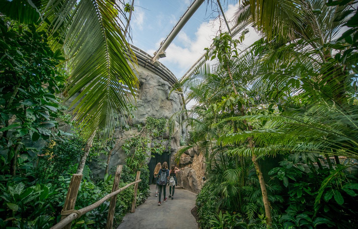 ScienceatCZ's tweet photo. Another fully funded PhD opportunity with us here @chesterzoo and @NTU_ARES! 🎓 

Help us investigate the effects that zoos have both on psychological wellbeing and connectedness to nature among visitors, with green/blue spaces ever harder to access 🌱

https://t.co/b7jYEHNO2z https://t.co/4e7iri2eda