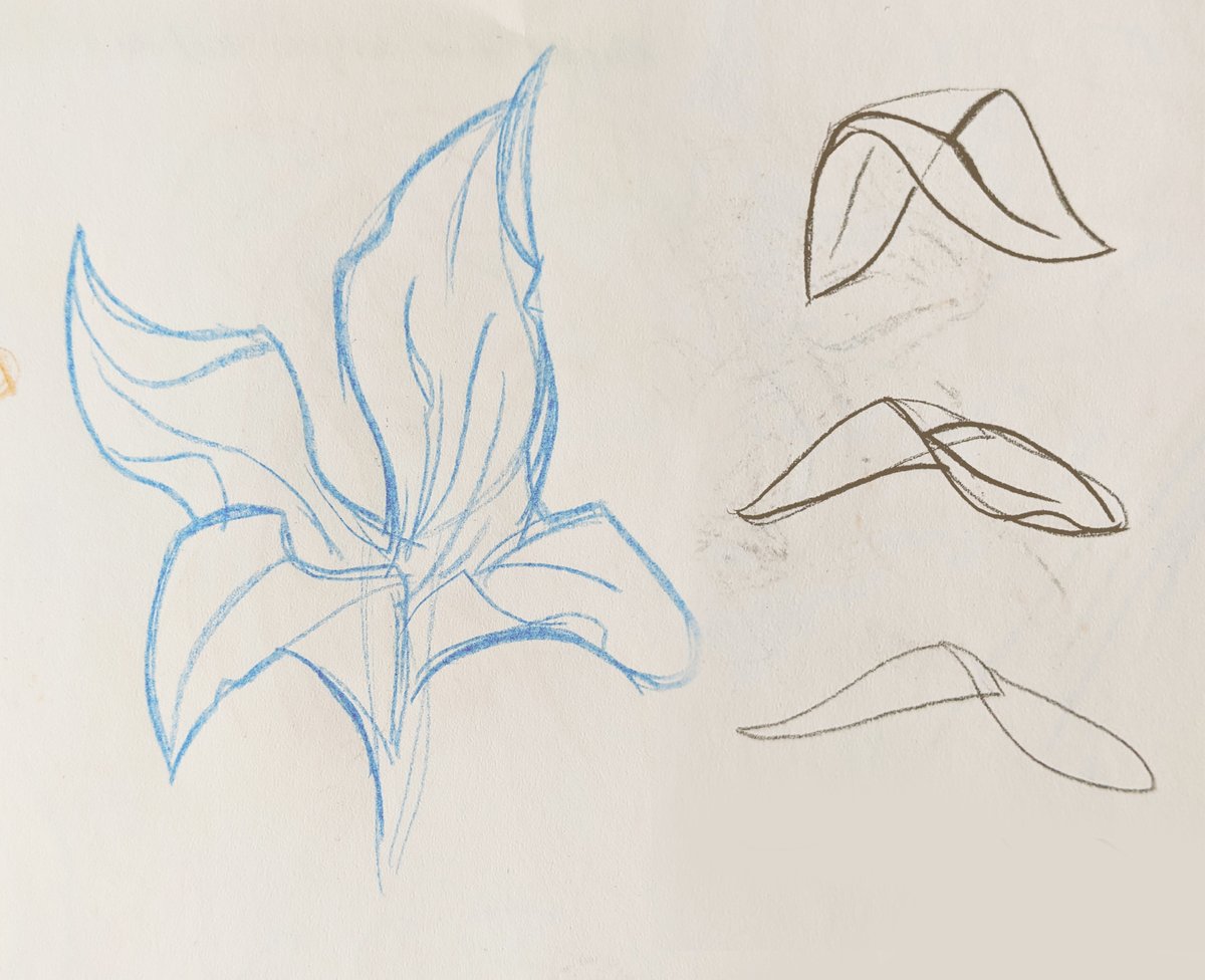 This was a pretty cool moment!
I wanted to figure out how he did those flowers and in trying to copy it I figured out how to make individual petals and basically draw them in any angle.