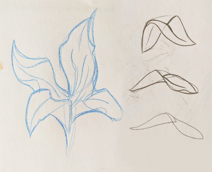 This was a pretty cool moment!
I wanted to figure out how he did those flowers and in trying to copy it I figured out how to make individual petals and basically draw them in any angle. 