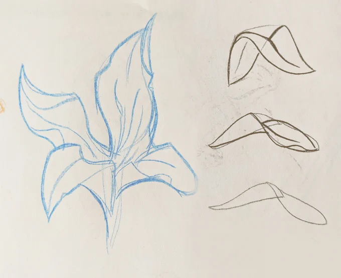 This was a pretty cool moment!
I wanted to figure out how he did those flowers and in trying to copy it I figured out how to make individual petals and basically draw them in any angle. 