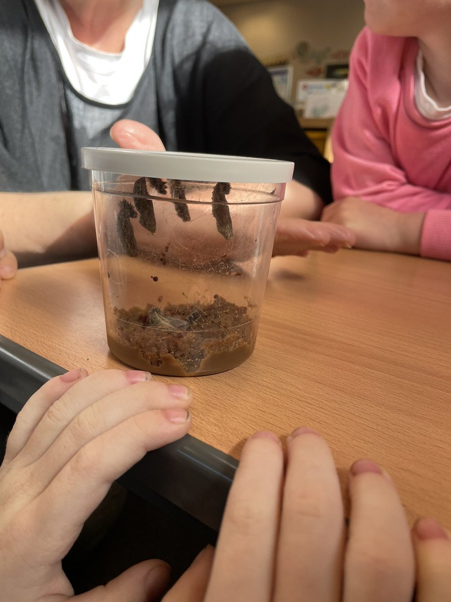 Woodlands Carnoustie tweet media