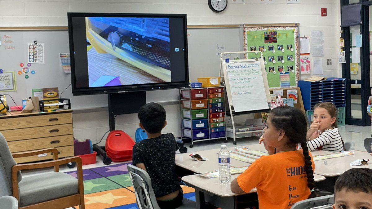 MrsKaylaLambert's tweet photo. Our chick hatching cam is up and running! The kids can barely contain their excitement 🐣 #FHRES22 https://t.co/jQKx9tyHsm
