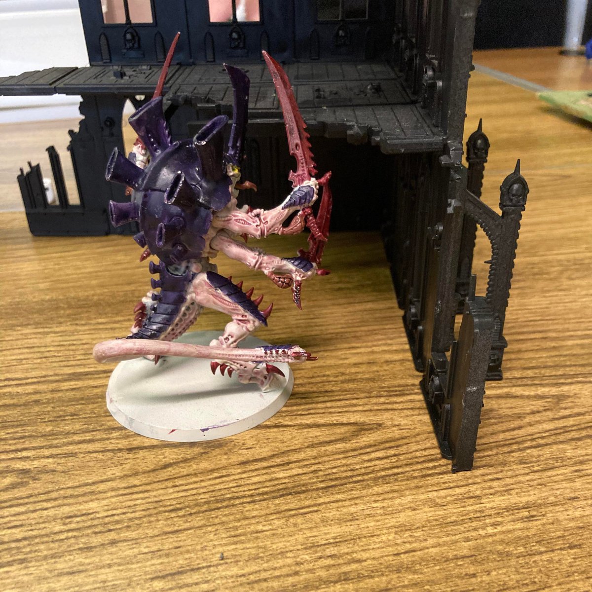 ClubMintlaw's tweet photo. Some exciting games this week as the zombie horde took on all comers and Cameron's Space Marines got a nasty surprise when they investigated the ruins. #40k #ageofsigmar https://t.co/pkR8o7m3wZ