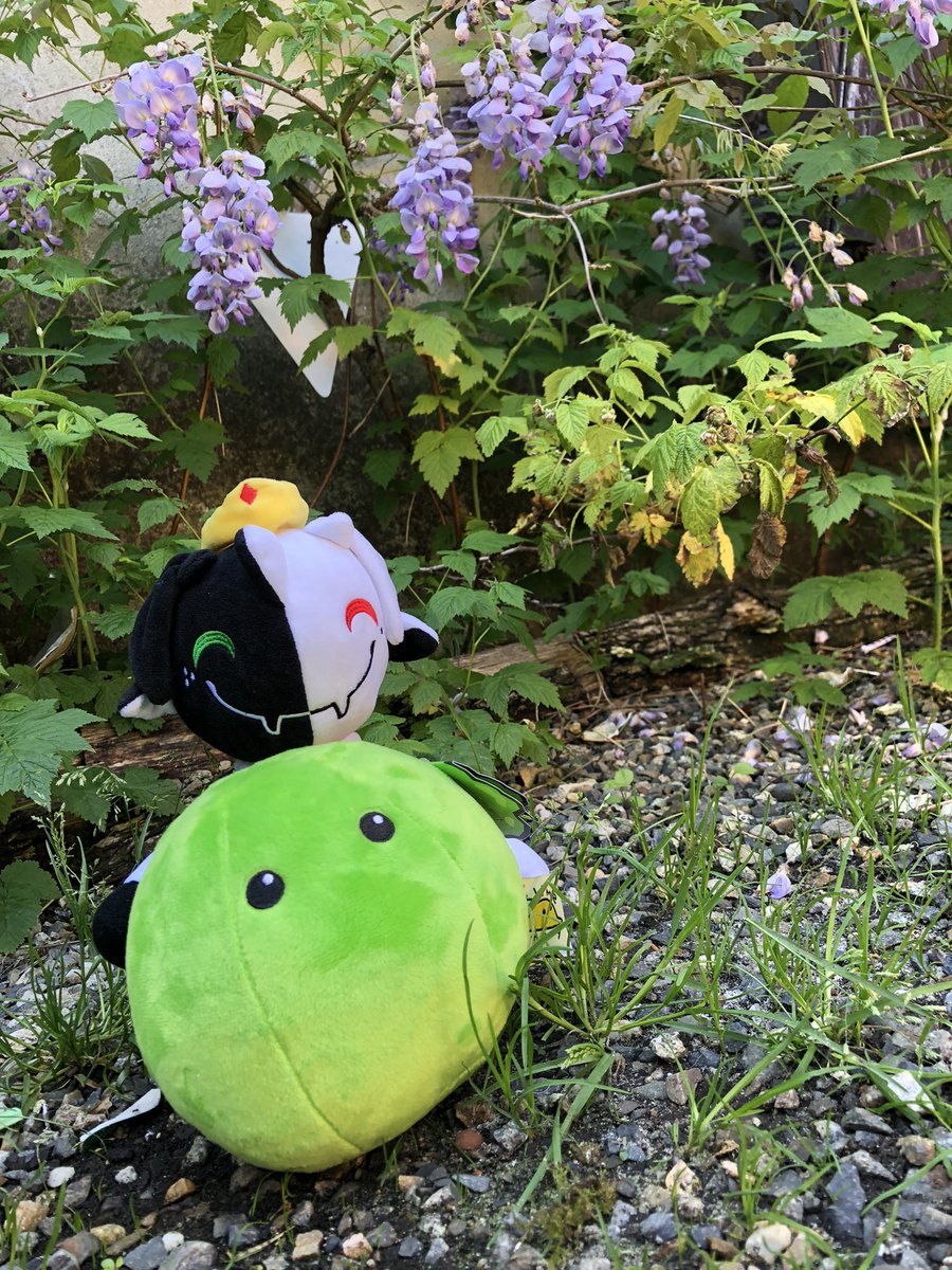 OnlyFallenAlien's tweet photo. A wild slime has appeared. A Ranboo is very happy! He must catch all the slimes. #slimestory #SLIMECICLE #ranboo @slime_story @ranaltboo https://t.co/kUkUl31b2n