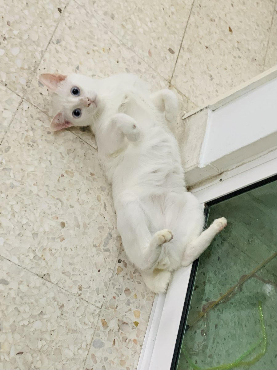 amnoslovesjacq's tweet photo. @TheKingKogi https://t.co/3LvQoE7COj
