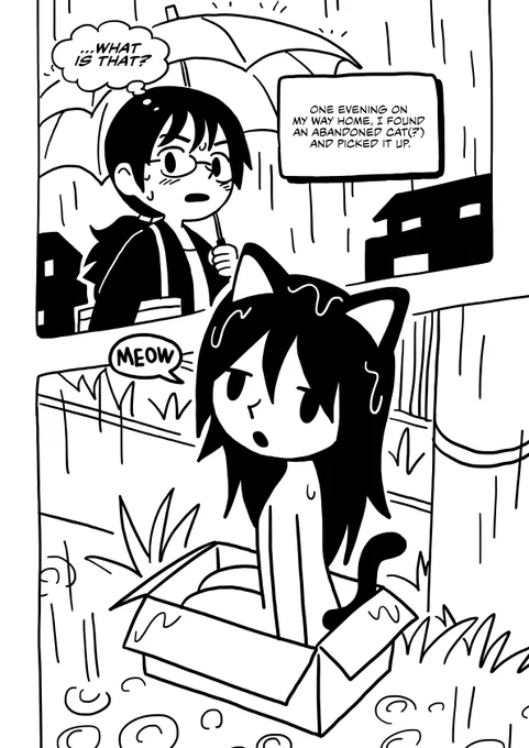 [NSFW] An abandoned cat 