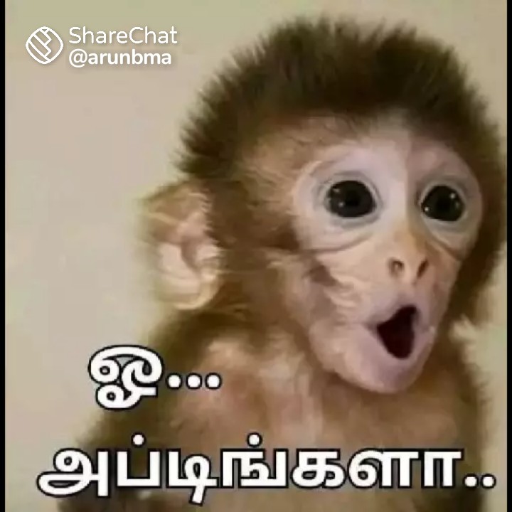 AKRajKumar12's tweet photo. @Aafreeda2022 https://t.co/c3qpP6SdQy