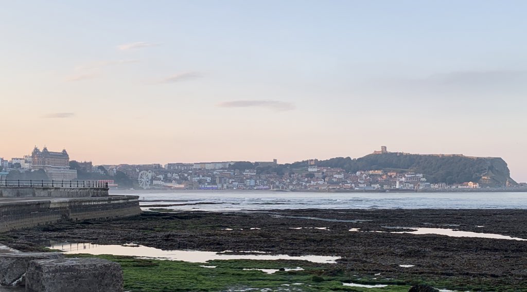 ScarbGas tweet media