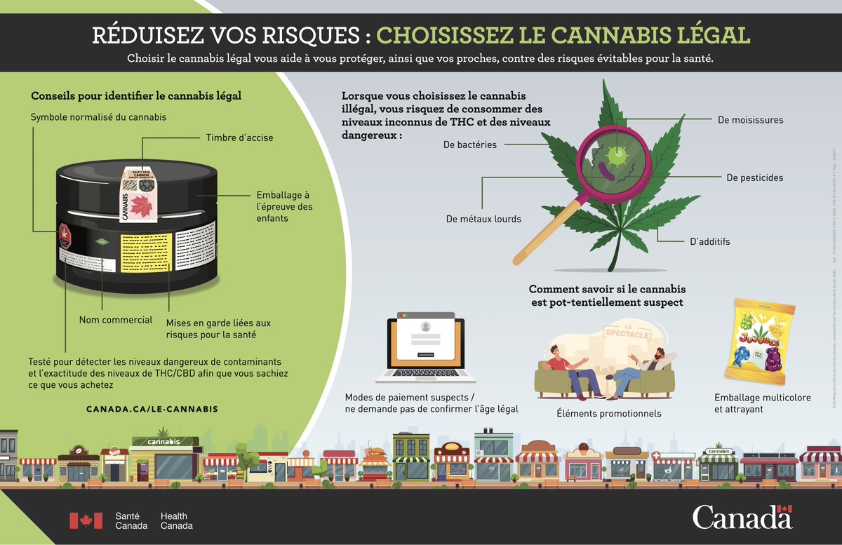 Freedominfr's tweet photo. 🇫🇷 France : "La drogue c’est de la 💩" 

🇨🇦 Canada : Un monde où la SANTÉ est la PRIORITÉ.

#StopHypocrisie #StopProhibition https://t.co/Q79dnPVOHX