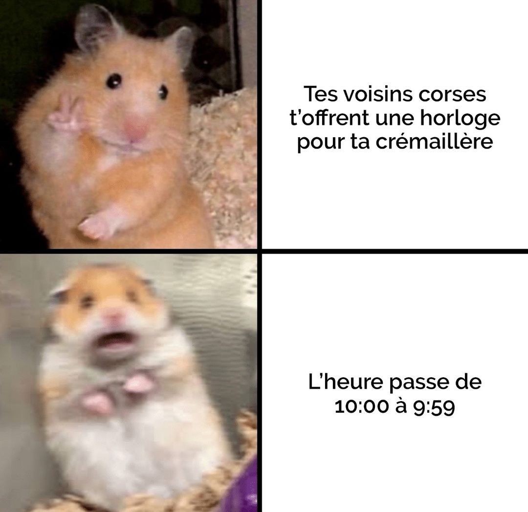 C’est quoi le bip bip ???