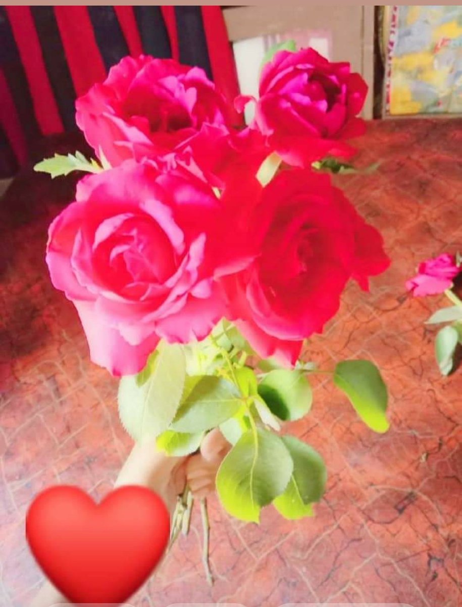 MuradJahir's tweet photo. @samirajahansara https://t.co/oM1G3CZOiZ