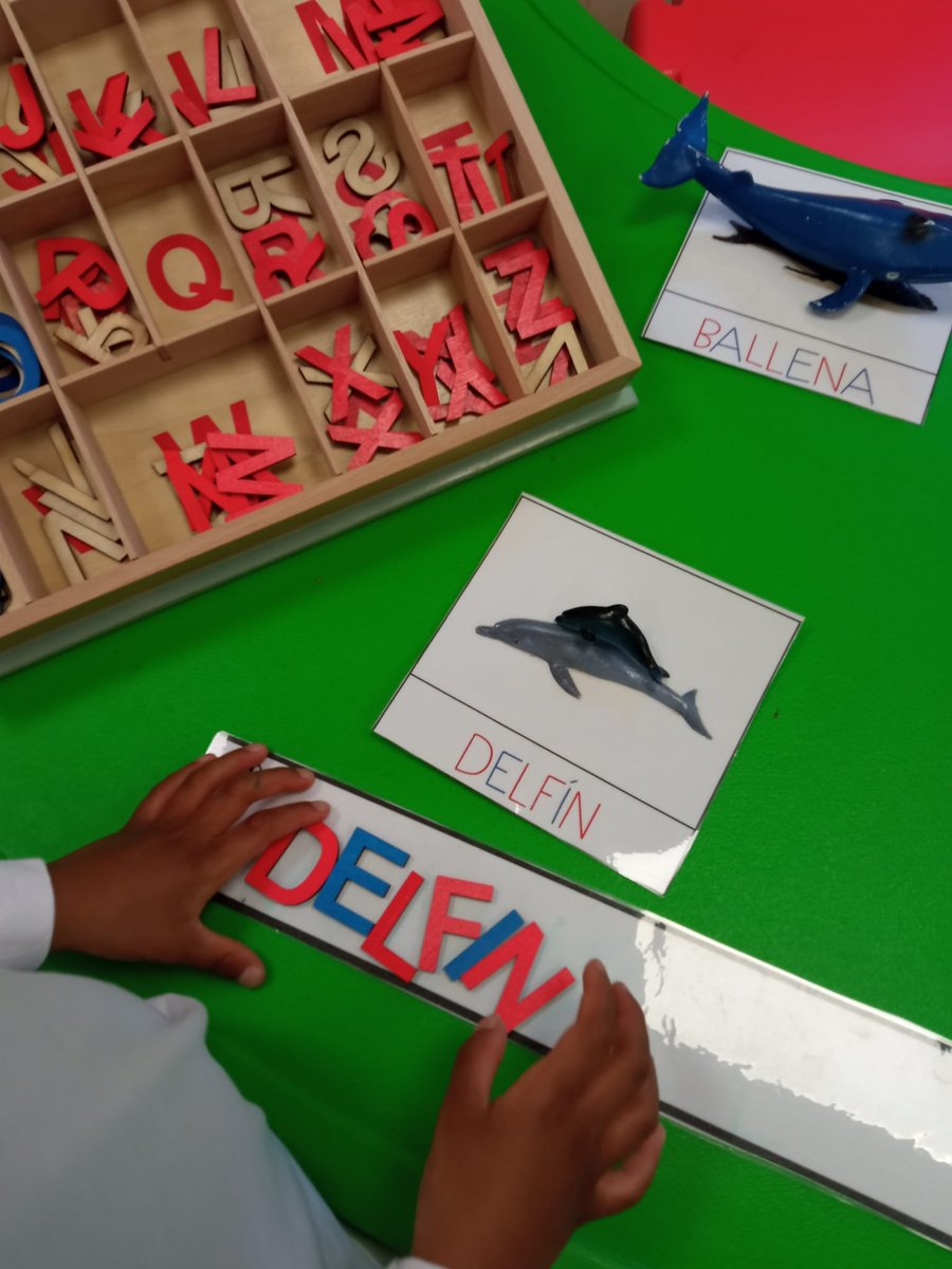QuererF's tweet photo. Learning vocabulary from literacy in a manipulative way and with an intuitive structure, allows children to be more independent in their work. Know more about @FundacionQuerer's special ed. school for children with language disorders: https://t.co/DmcVWna8WH https://t.co/SWitttEHGY