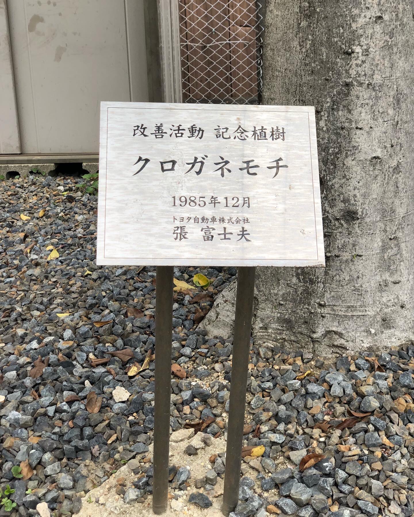 中央紙器工業株式会社 新緑のきせたですね 当社の樹木も元気に成長しています 中央紙器工業 記念樹 トヨタ自動車 張富士夫さん 改善活動 T Co Ppae0okb2p Twitter