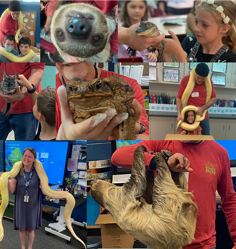 Science Alive was so much fun. Our third grade students had a blast meeting all of the cool animals. Thank you to our PTA Enrichment leaders for making these awesome experiences happen. @baldwinRcs