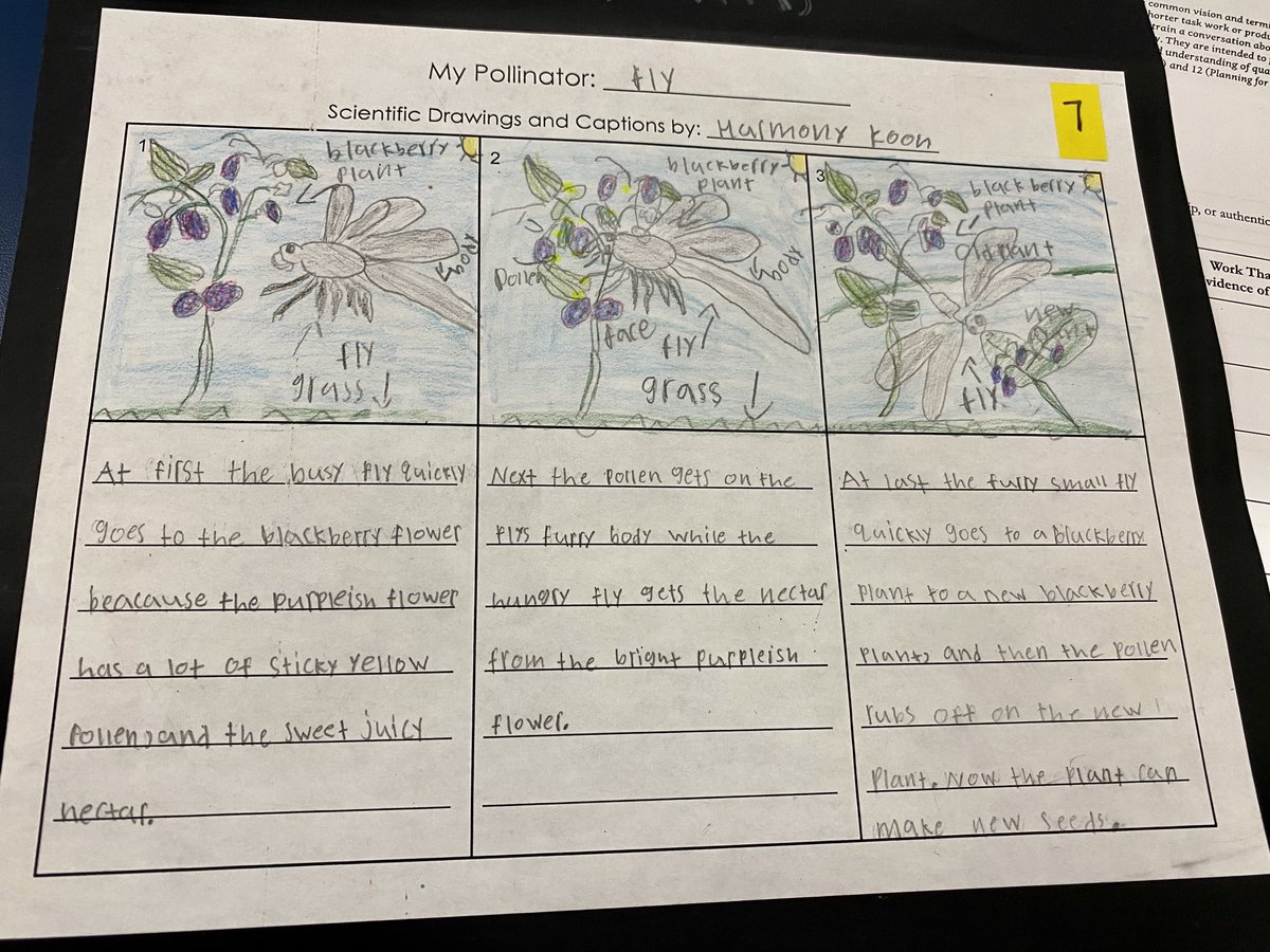 2nd grade high quality work ⁦<a href="/HillsElem/">Clifton Hills Elementary School</a>⁩ ⁦<a href="/ELeducation/">EL Education</a>⁩