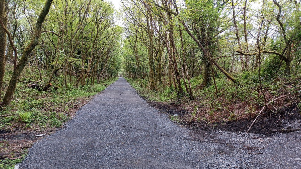 CllrAStevens's tweet photo. ๐ฒ The Grovesend to Pontarddulais active travel link is coming on at pace.
๐ First look at the interpretation boards on the next tweet.
#localhistory #grovesend #waungron #pontarddulais #activetravel https://t.co/rH2s3rumIP