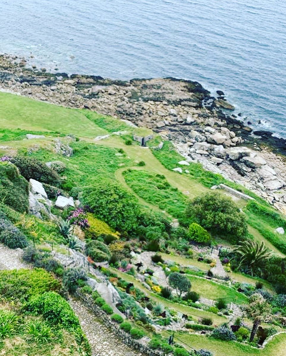 JKSLtd's tweet photo. Nowhere is safe! #japaneseknotweed #stmichaelsmount #Cornwall https://t.co/4qhc74VZZP