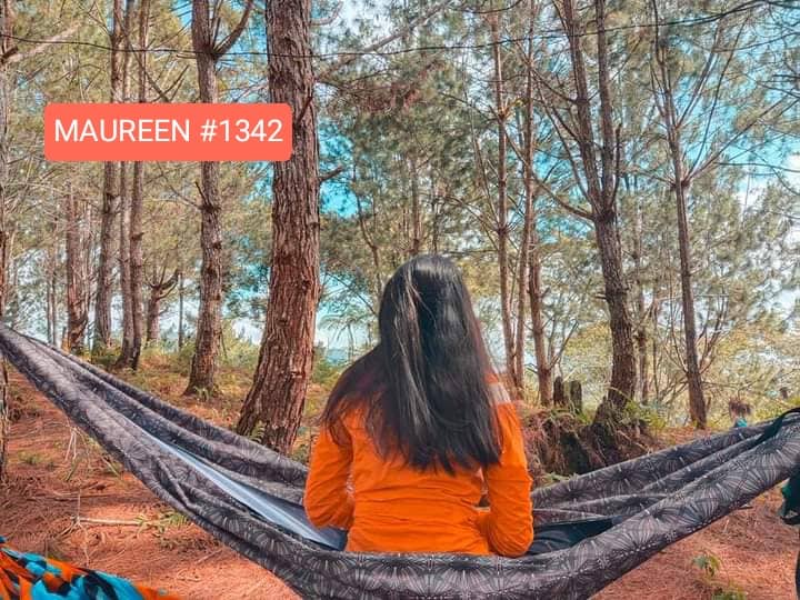 maureen tweet media