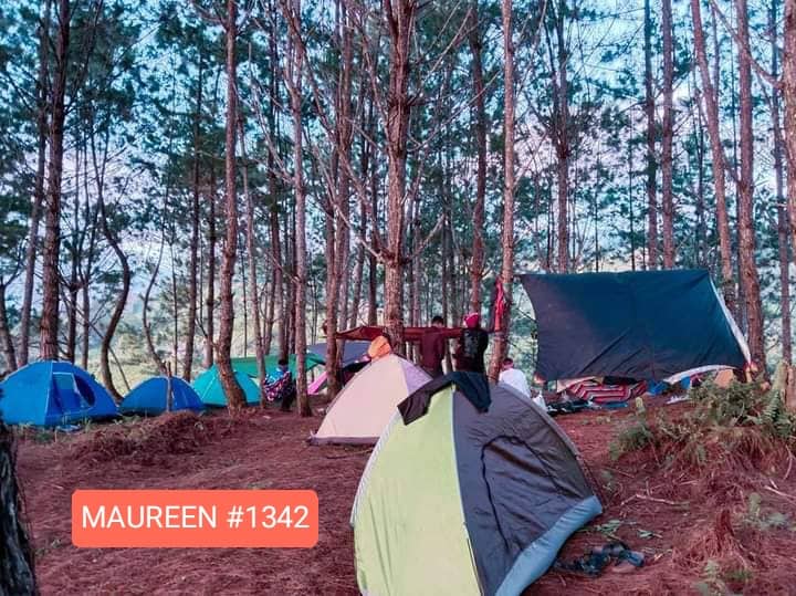 maureen tweet media