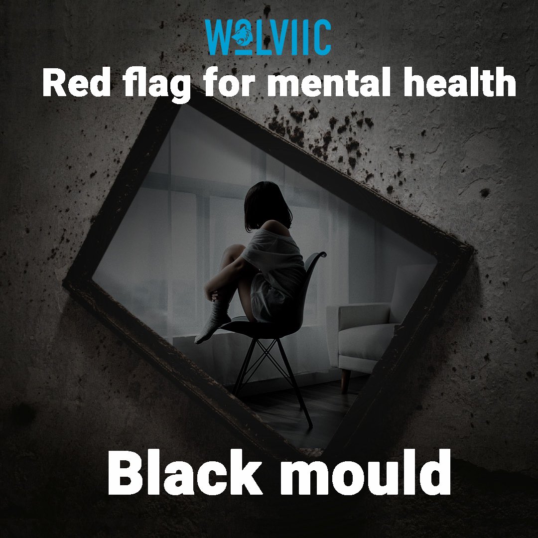 Wolviic's tweet photo. Here are 2 things you didn’t know about black mould and how if affects your mental health…        

⚫️ Studies suggest there is a higher risk of depression. 

⚫️ The apperance of mould can cause anxiety.

 #mentalhealth #mentalhealthawareness #mentalhealthmatters https://t.co/j2I7IeLHaD