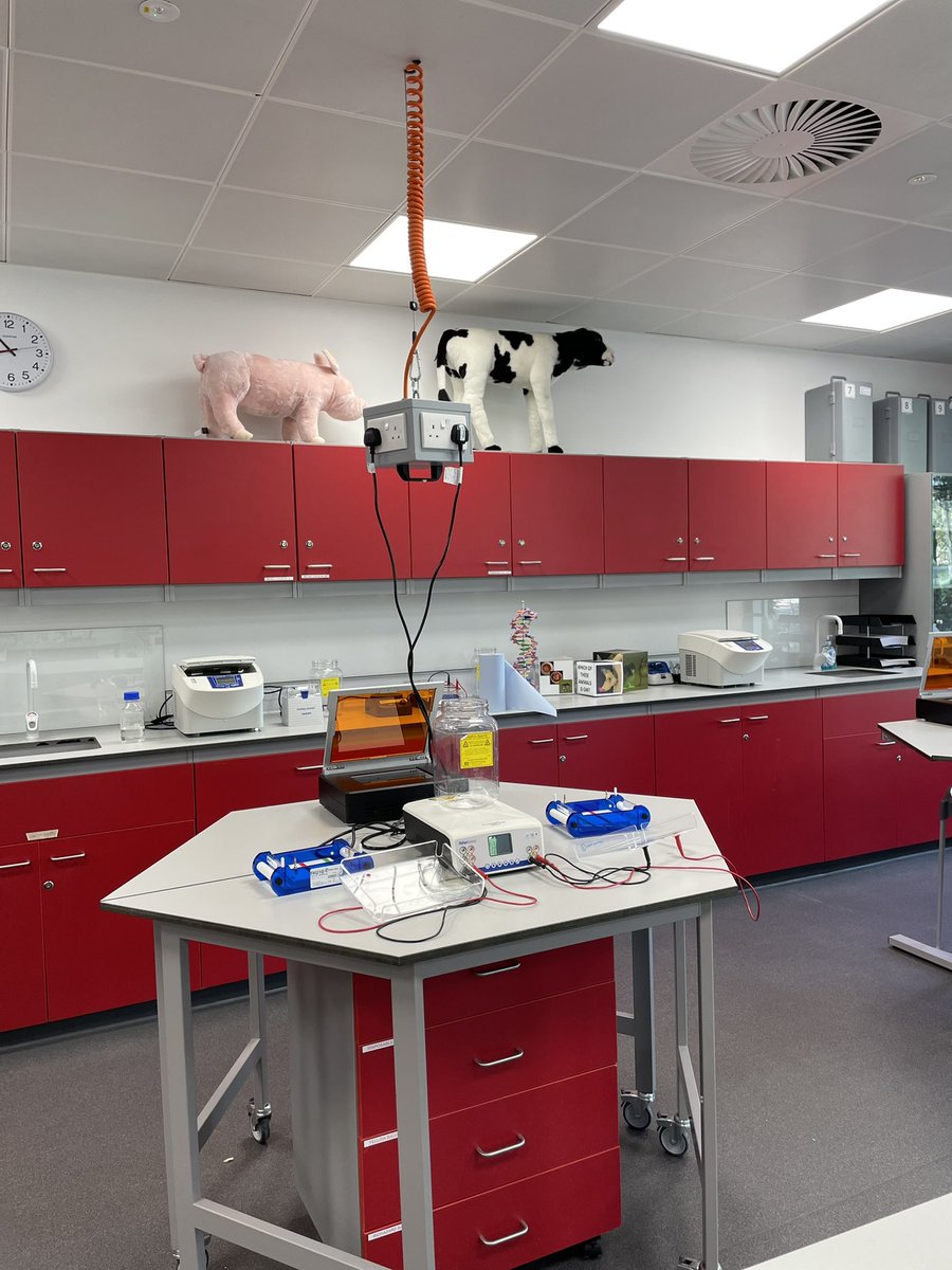 Lovely to meet <a href="/JayneQuoiani/">Jayne Quoiani</a> at <a href="/EBSOClab/">EBSOC Lab</a> and hear about the amazing opportunities for #teachers and #schools! Hands up who is curious? ✋ Watching this space. #showusyourstem #primarystem