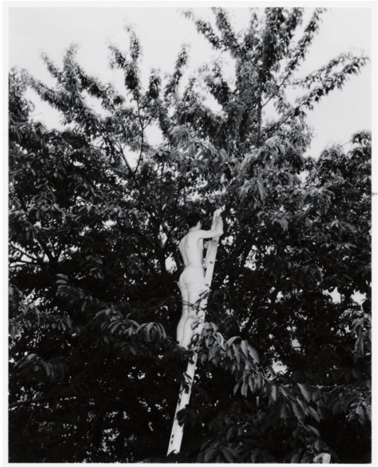 My first #NFT on <a href="/Unct_co/">Uncontaminated</a>

From the project "Sognacci".
Result of a year of lucid dreams.

Check it here: uncontaminated.co/artworks/5347/…

#nftphotography #NFTphotographers #nftcollectors #NFTCommunity #nftart #NFTCollection #uncontaminated