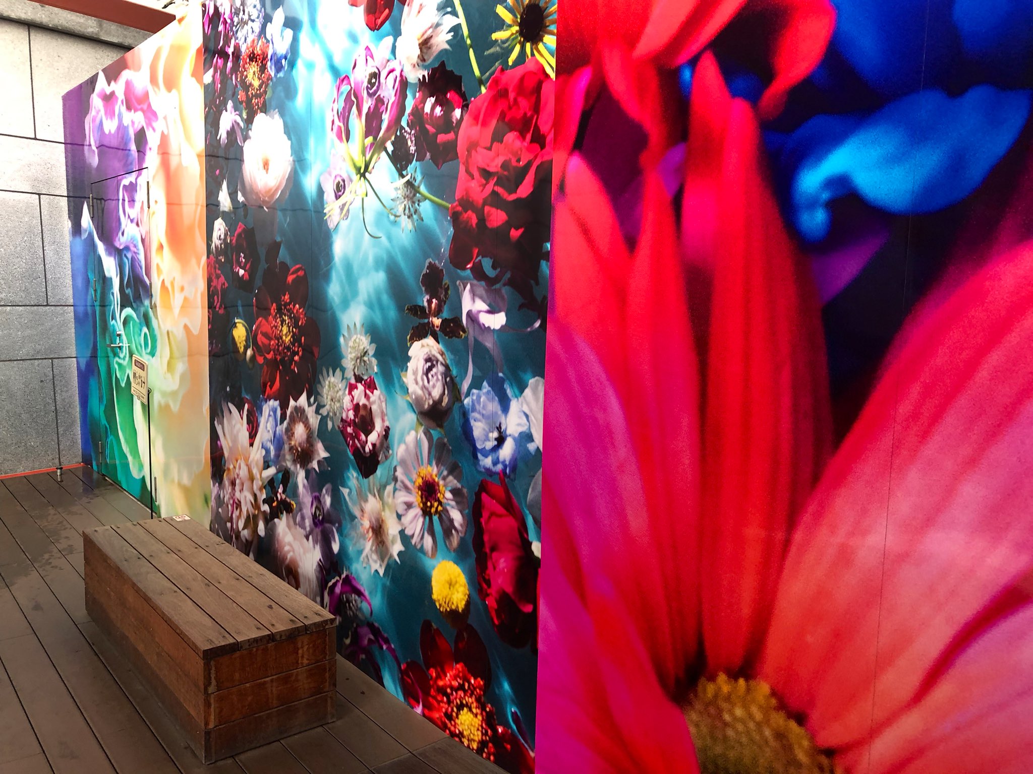 蜷川実花さん Twitter Search Twitter