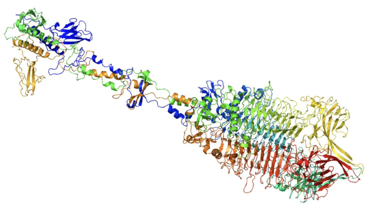 RafalMostowy's tweet photo. Please RT // Exciting opportunity to apply evolutionary genomics &amp; AlphaFold2 to study co-evolution between bacterial sugars and phage proteins. Join our lab as a postdoc! Deadline: 30.06.
https://t.co/eTrWzXT6cx https://t.co/JlP9jLz8Zm