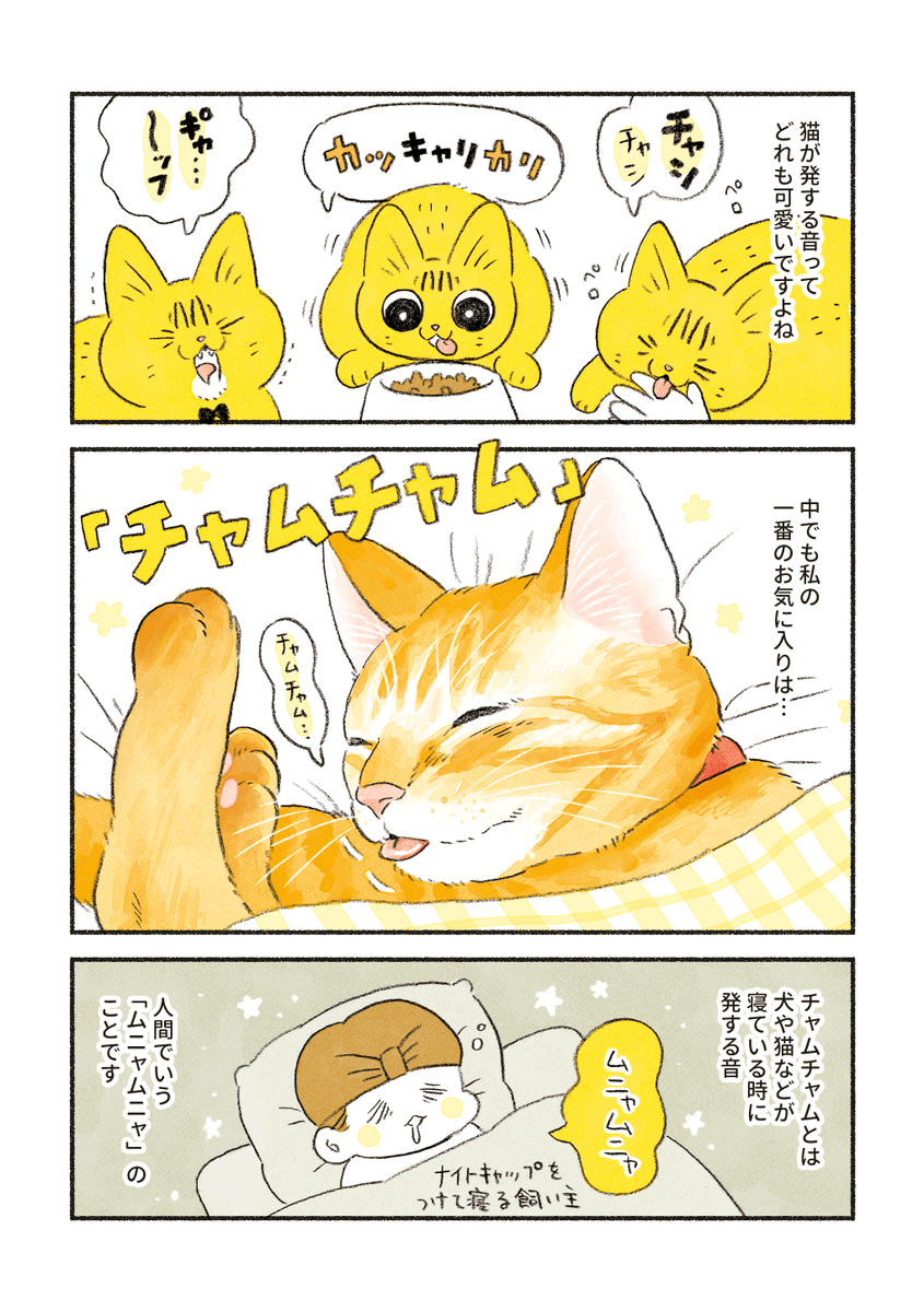 【再掲】
ねこのチャムチャム 