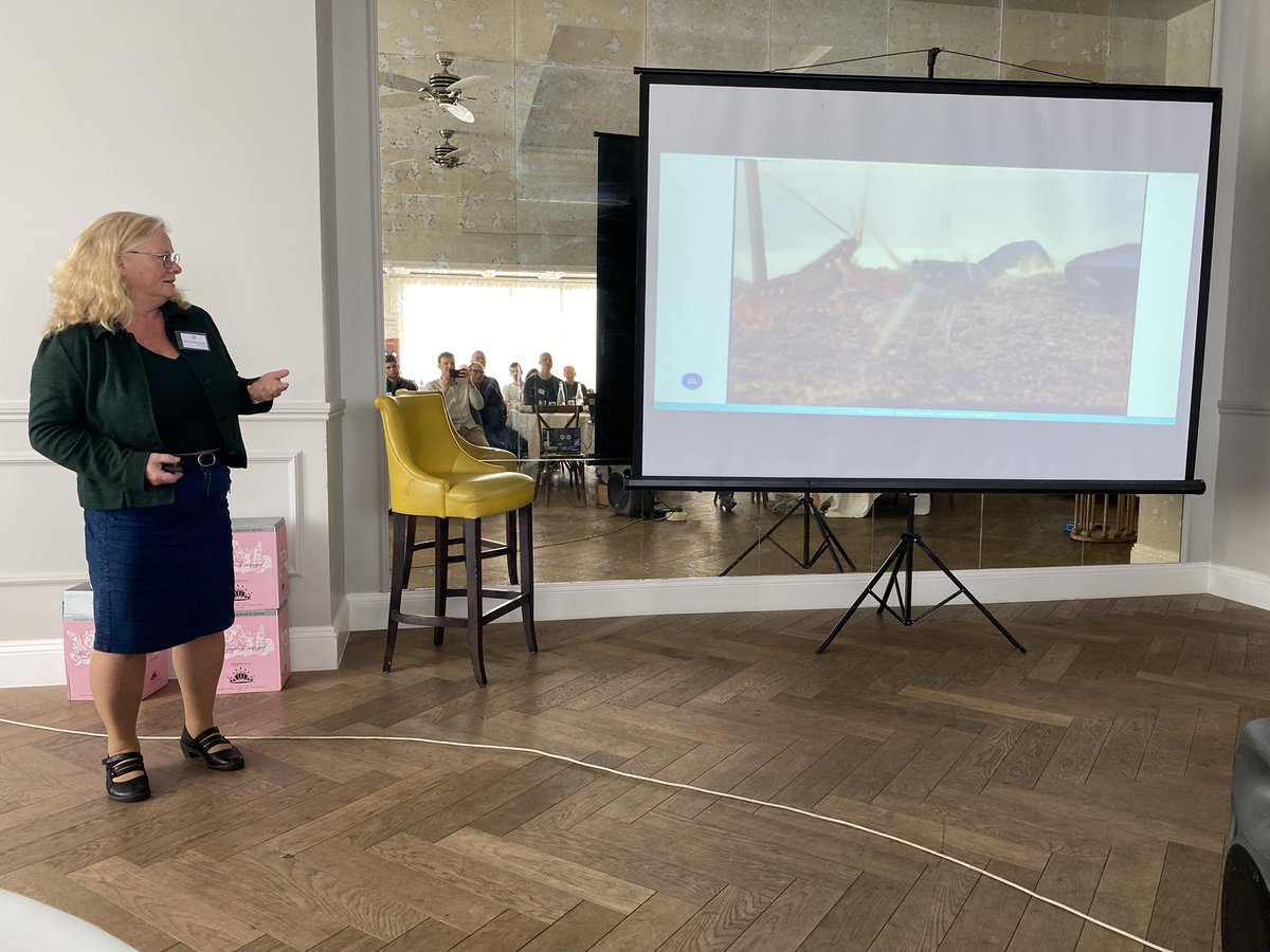 TheLobsterDr's tweet photo. A lobster geek’s dream today in Padstow, where many of Europe’s best and brightest are assembled for the 6th #ELCE meeting hosted by @PadstowLobster Hatchery, and featuring IMR’s 🇳🇴🦞👸🏼 Ann-Lisbeth Agnalt with a fascinating talk on lobster mating and hybridisation. #ExeterMarine https://t.co/0GlisMzg9P