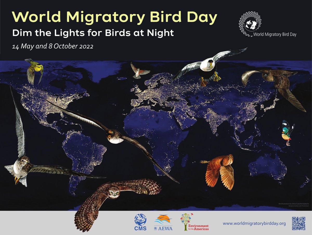WMBD's tweet photo. 📣 Press Release: #WorldMigratoryBirdDay

Light Pollution Threatens Birds across the World but Solutions are Readily Available 🌎🐦💡

#WMBD2022 will be celebrated around the world on 14 May! 

➡️ Click here to read the press release: https://t.co/pbWuqjWIkb 

#DimLightsforBirds https://t.co/LTxD9tGkPl