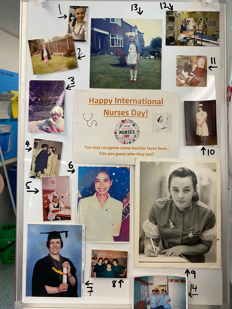 Julia Fitzpatrick tweet media