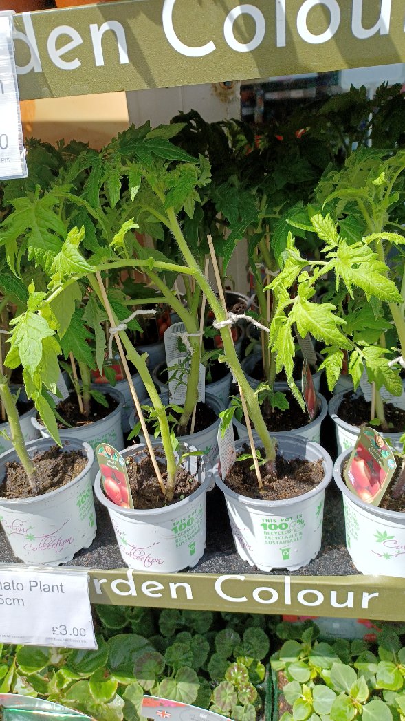 paul lakin tweet media