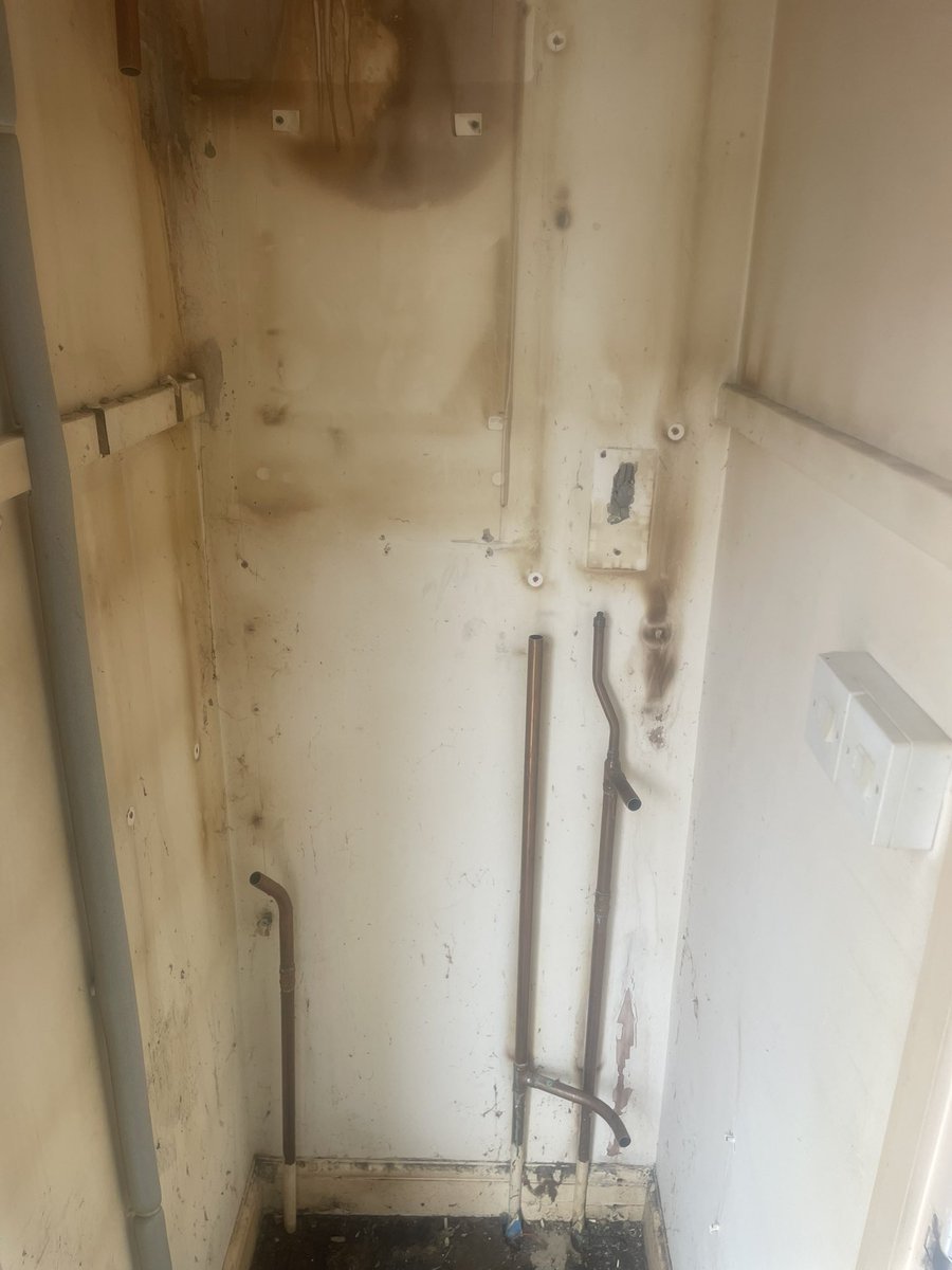 @AndrewGoldson Goldiefather tweet media