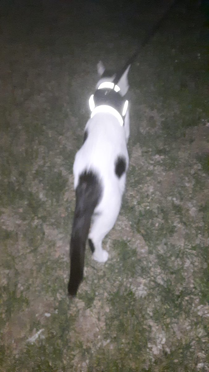 ÇEKİLİNNNN BELA GELİYORRRRR