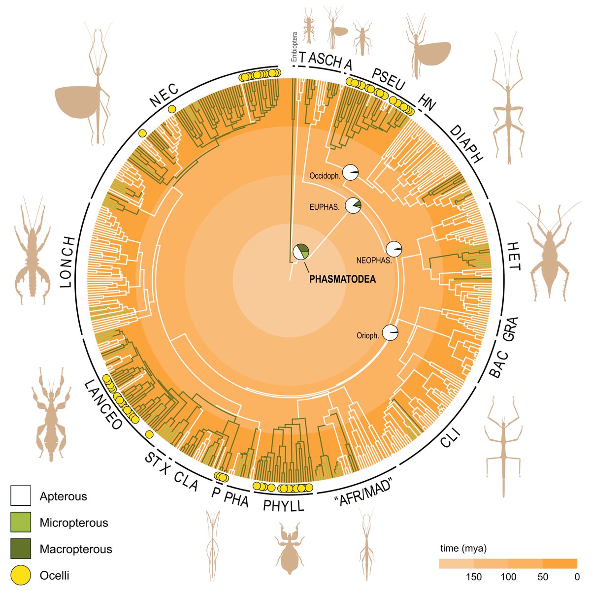 Sarah Bank tweet media