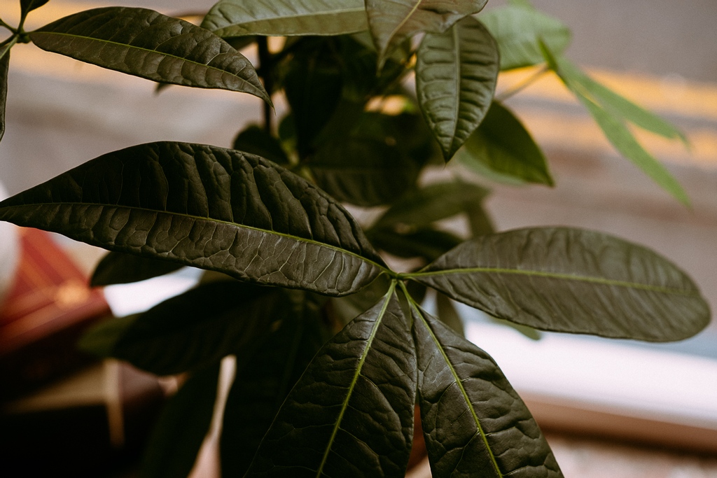 aruleoftum's tweet image. 🎁 We sell gift vouchers!

You can buy gift vouchers for all of our restaurants online, just head to aruleoftum.com scroll to the bottom and click 'Buy a Voucher'

#aruleoftum #giftvouchers