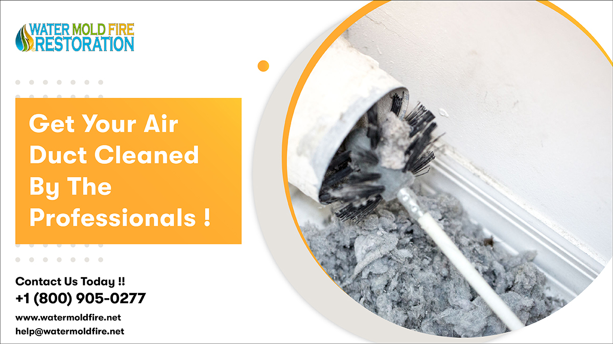 Do you feel the air quality at your home is declining day by day? Get your HVAC cleaned. This improves the efficiency of air duct.. Contact Water Mold Fire today to avail our services!
Call:- 800-905-027
Visit:-pos.li/2ia7vo
#ductcleaning #hvac #clean
