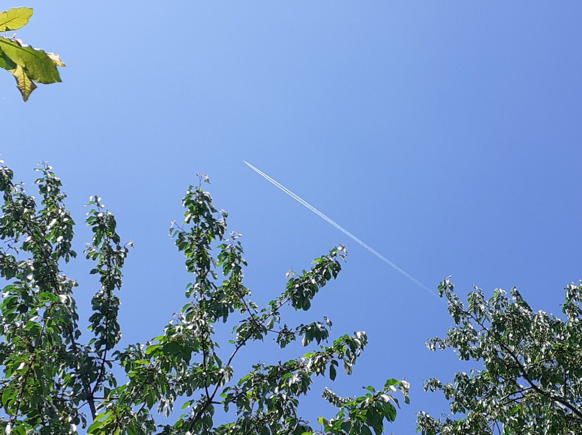 EroEgoZero's tweet image. Make a wish🌞
Esprimi un desiderio🌈