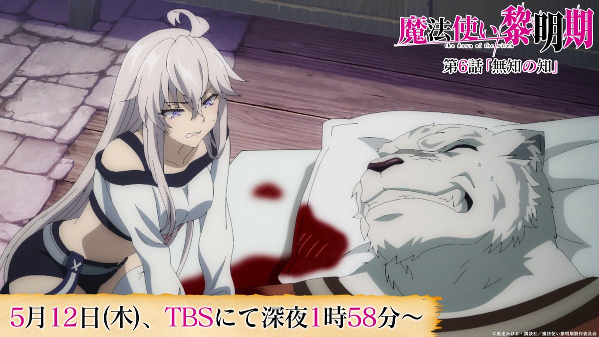 魔法使い黎明期』TVアニメ公式 on X: 