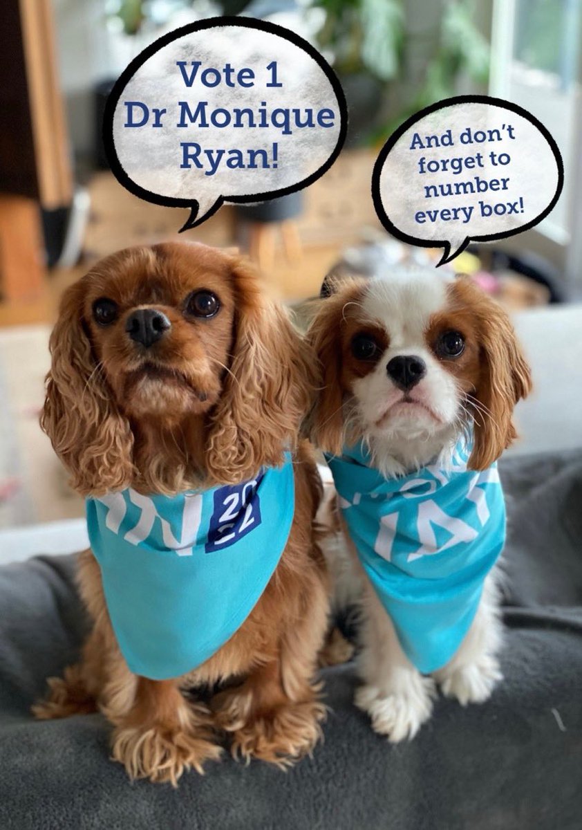 Dr Monique Ryan MP tweet media