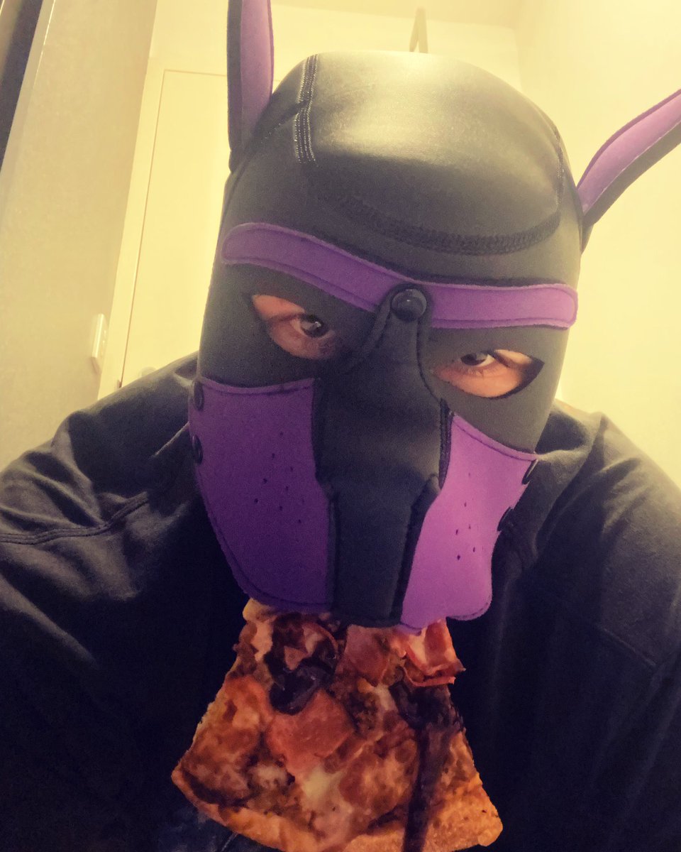 pookey_pup's tweet photo. I schneekz da pizzscha #pizza
#pup #humanpup #dinnerz #happypuppy https://t.co/nqSuwfBXA3