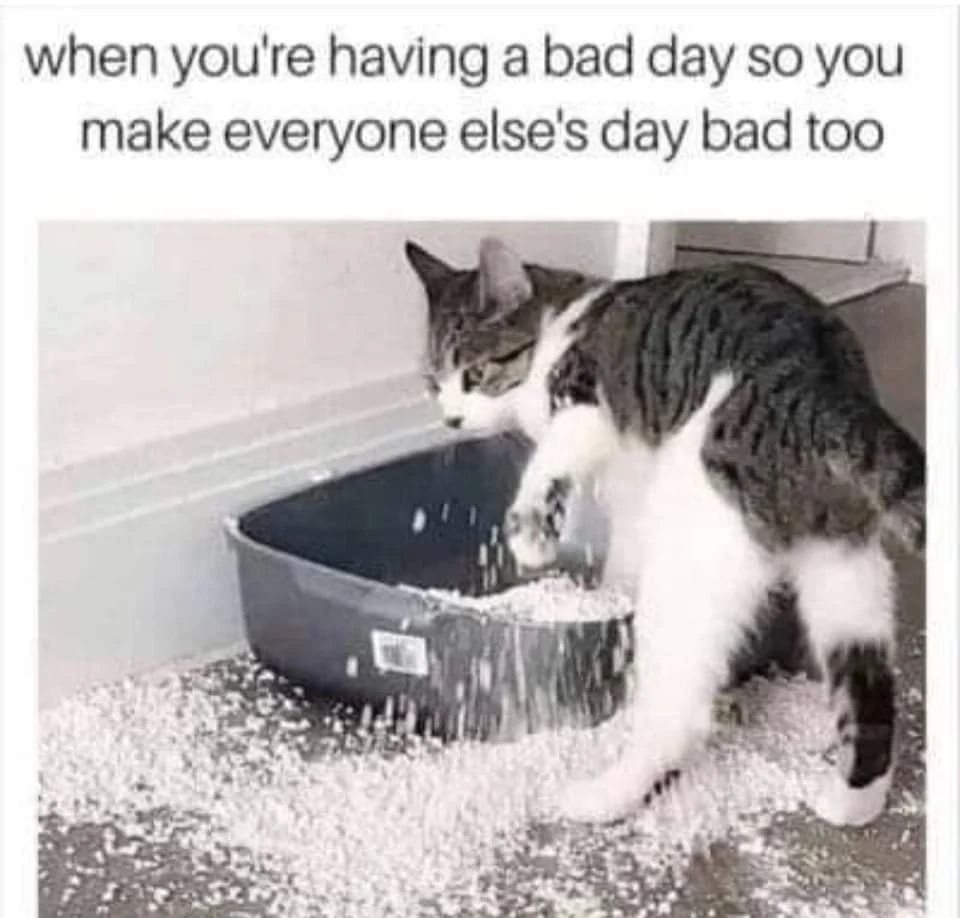 KQfsy's tweet photo. #bpdmeme #bpd #ADHD https://t.co/4tO7azcda8