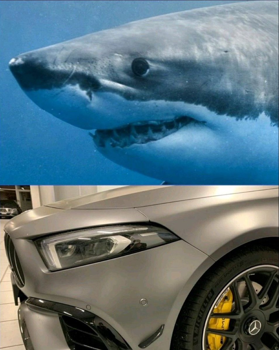 MhdMekki's tweet photo. The Shark nose: A45 S AMG 🦈
#mercedesbenz #mercedesamg #mercedesbenzmaybachfans #aclass #a45s #a45samg #aclasssedan #a35 #a35amg #a45amg #a250 #a200 #hatchback #hyperhatch #shark https://t.co/IGwQ9X0k4R