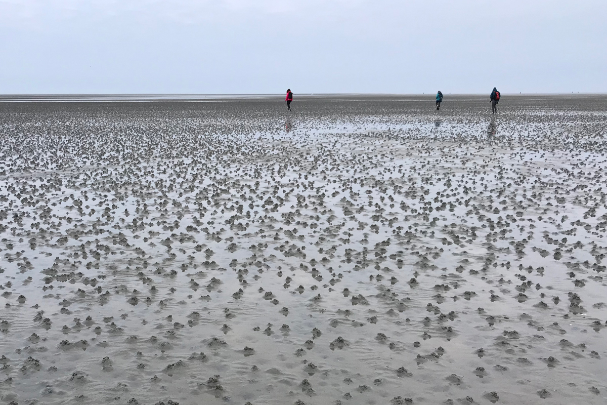 Saskia op de Weegh tweet media