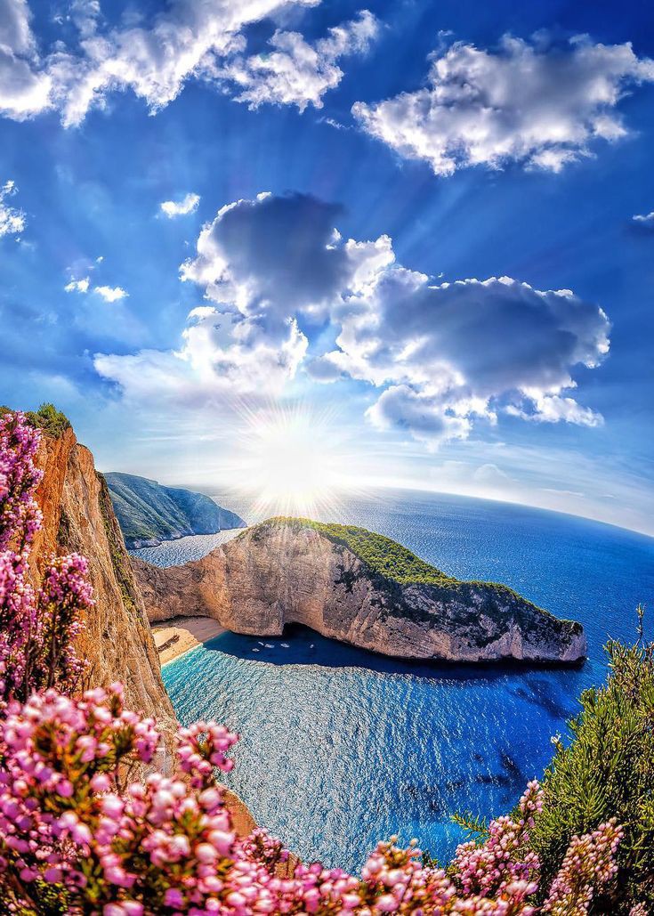 🌸ℂℍ𝔼ℝℝ𝕐🍒🌸 tweet media