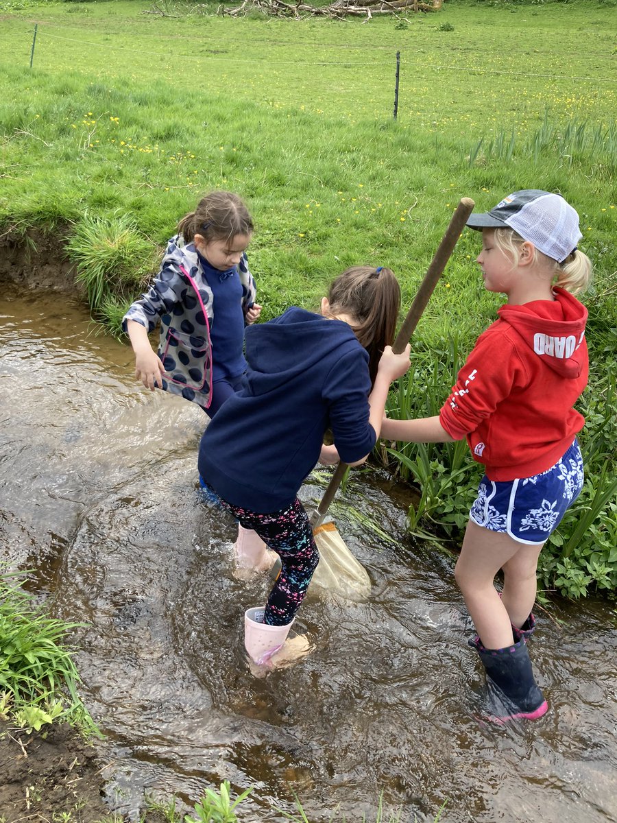 ManorHseSchool's tweet photo. Fun in the river collecting invertebrates #IndividualChallenge @FSCJuniperHall https://t.co/bVy4hCFdVb