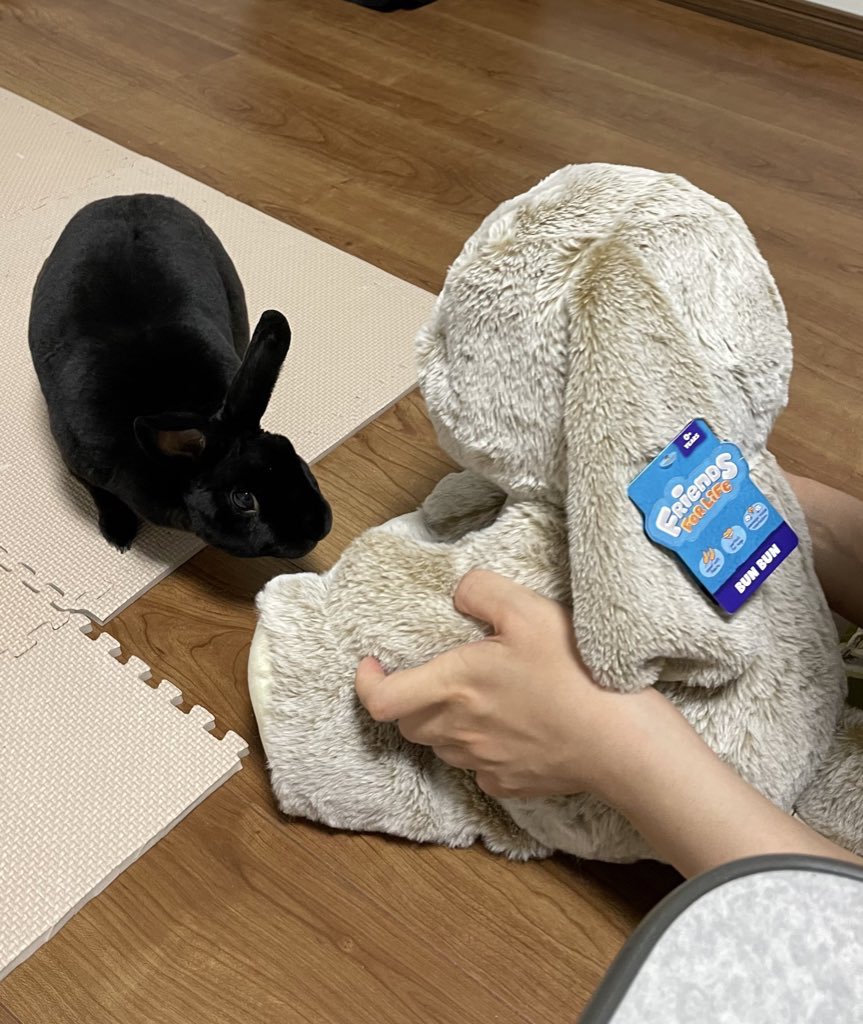 shin09012's tweet photo. 邂逅 https://t.co/DmU6apZBPU
